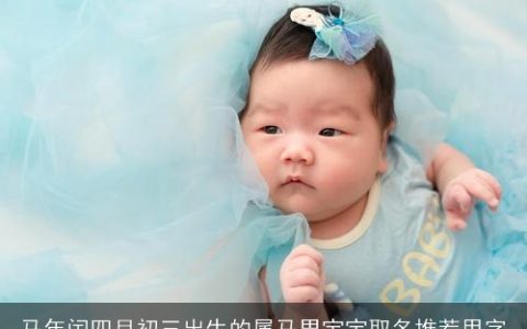 马年闰四月初三出生的属马男宝宝取名推荐用字