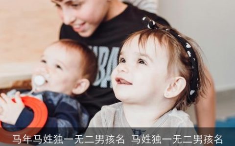 马年马姓独一无二男孩名 马姓独一无二男孩名