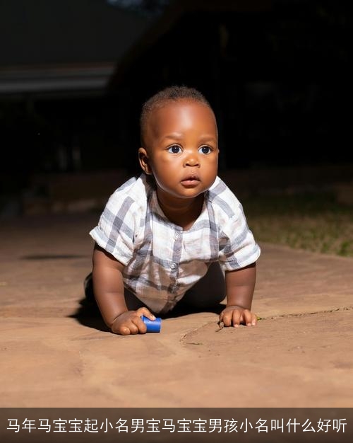 马年马宝宝起小名男宝马宝宝男孩小名叫什么好听