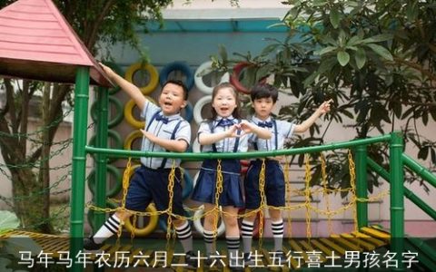 马年马年农历六月二十六出生五行喜土男孩名字