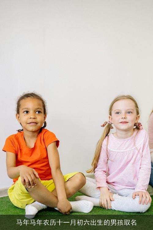 马年马年农历十一月初六出生的男孩取名