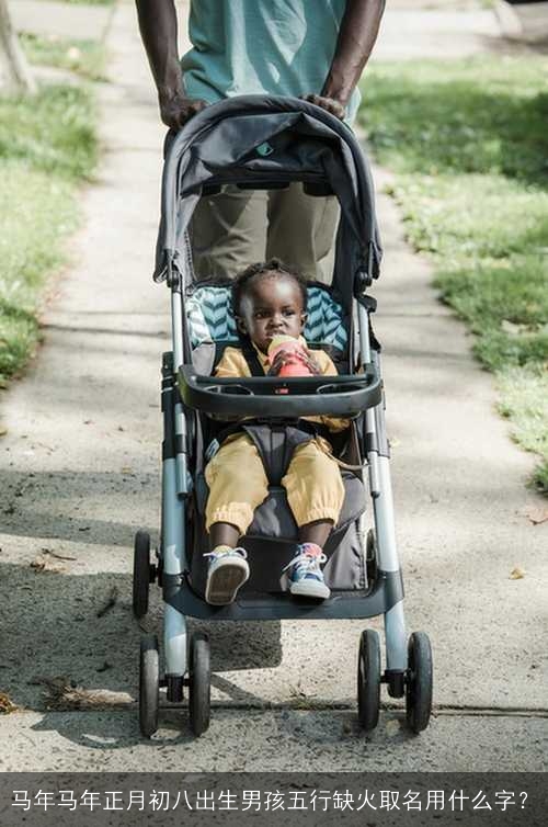 马年马年正月初八出生男孩五行缺火取名用什么字？