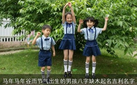 马年马年谷雨节气出生的男孩八字缺木起名吉利名字