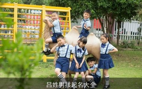 吕姓男孩起名大全