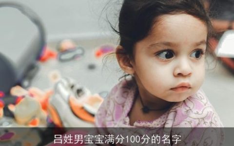 吕姓男宝宝满分100分的名字