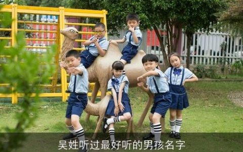 吴姓听过最好听的男孩名字