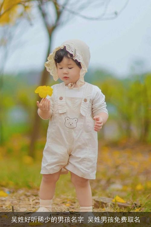 吴姓好听稀少的男孩名字 吴姓男孩免费取名