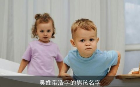 吴姓带浩字的男孩名字