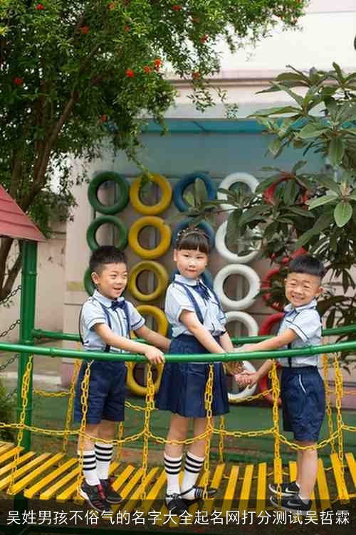 吴姓男孩不俗气的名字大全起名网打分测试吴哲霖