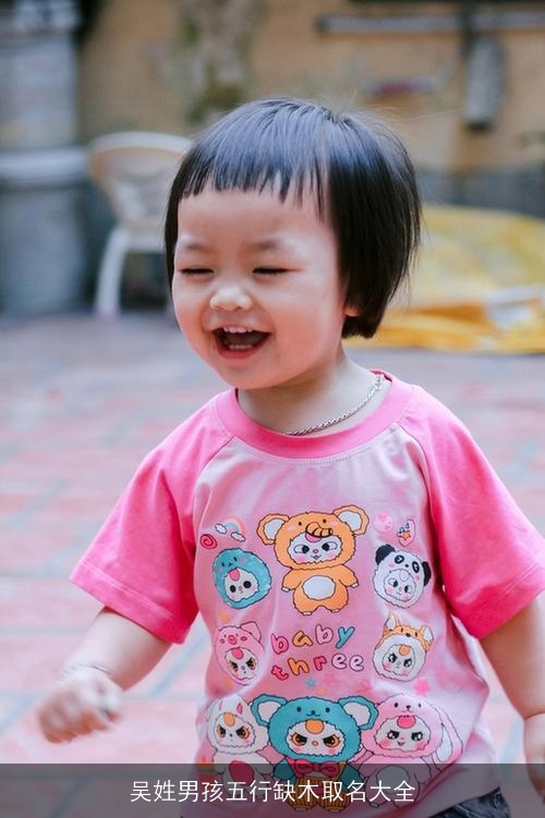 吴姓男孩五行缺木取名大全