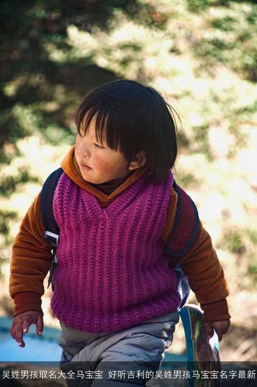 吴姓男孩取名大全马宝宝 好听吉利的吴姓男孩马宝宝名字最新