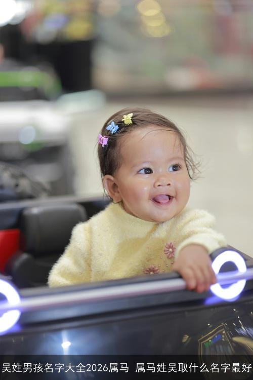吴姓男孩名字大全2026属马 属马姓吴取什么名字最好