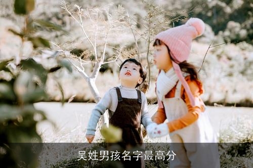 吴姓男孩名字最高分