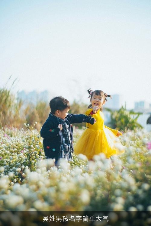 吴姓男孩名字简单大气