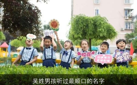 吴姓男孩听过最顺口的名字