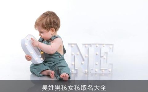 吴姓男孩女孩取名大全