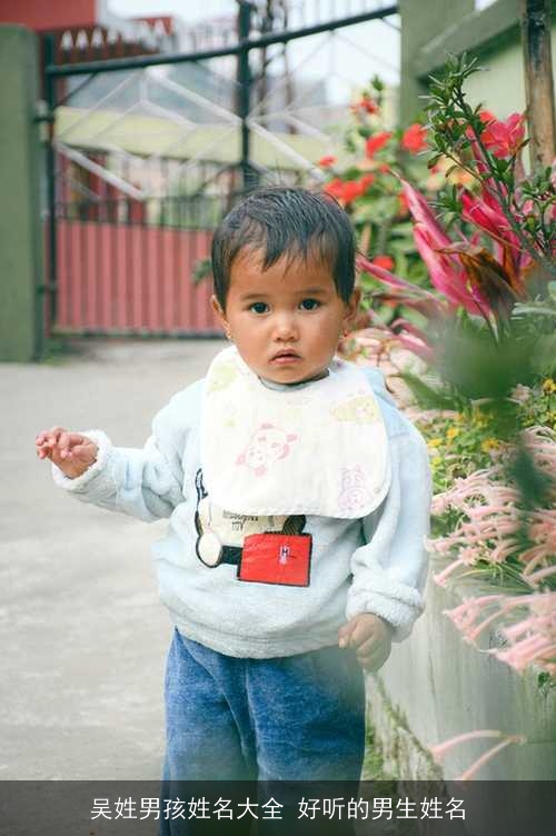 吴姓男孩姓名大全 好听的男生姓名