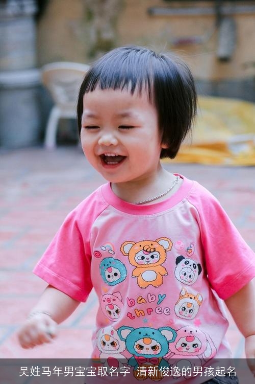 吴姓马年男宝宝取名字 清新俊逸的男孩起名
