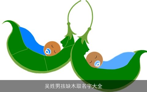 吴姓男孩缺木取名字大全