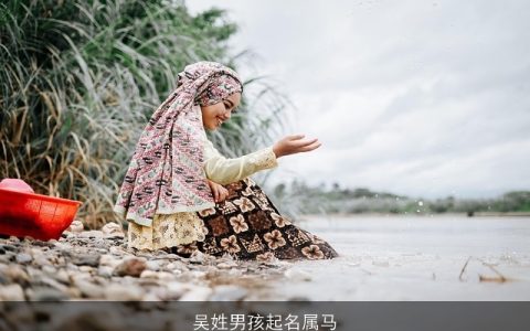 吴姓男孩起名属马