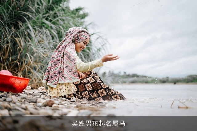 吴姓男孩起名属马