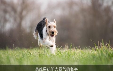 吴姓男孩阳光霸气的名字