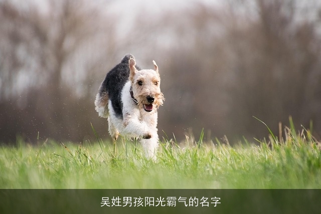 吴姓男孩阳光霸气的名字