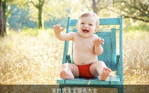 吴姓男宝宝取名大全