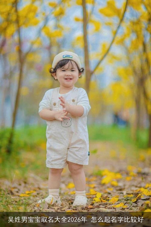 吴姓男宝宝取名大全2026年 怎么起名字比较好