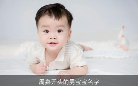 周嘉开头的男宝宝名字