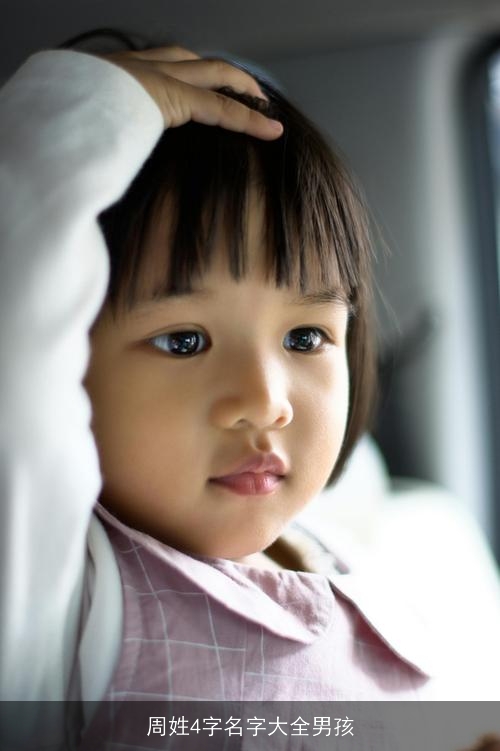 周姓4字名字大全男孩