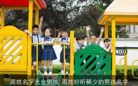 周姓名字大全男孩 周姓好听稀少的男孩名字
