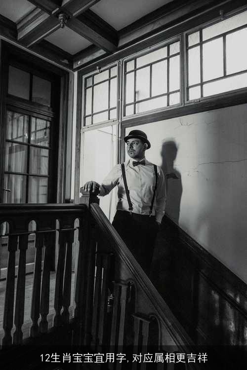 12生肖宝宝宜用字,对应属相更吉祥