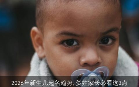 2026年新生儿起名趋势,贺姓家长必看这3点