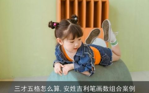 三才五格怎么算,安姓吉利笔画数组合案例
