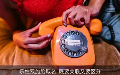 乐姓双胞胎取名,既要关联又要区分