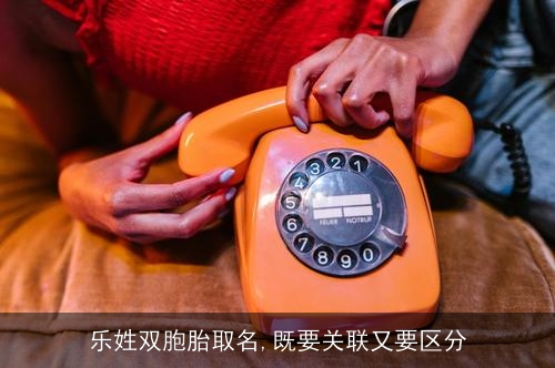 乐姓双胞胎取名,既要关联又要区分
