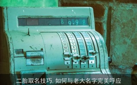 二胎取名技巧,如何与老大名字完美呼应