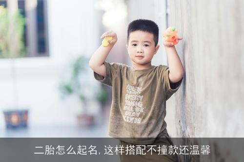 二胎怎么起名,这样搭配不撞款还温馨