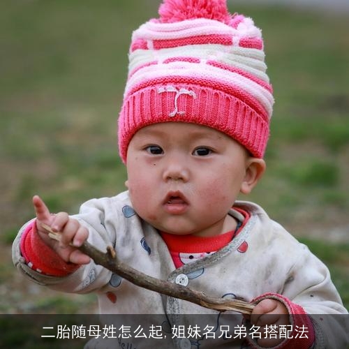 二胎随母姓怎么起,姐妹名兄弟名搭配法