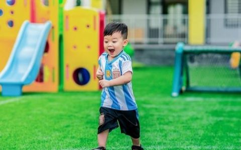 五行八字不求人,在线工具自查攻略