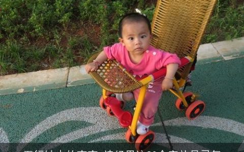 五行缺木的宝宝,诗经里这20个字补足灵气