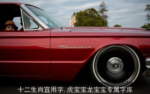 十二生肖宜用字,虎宝宝龙宝宝专属字库