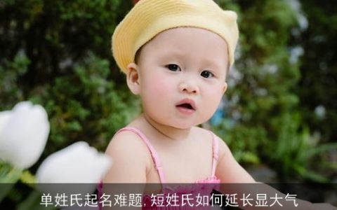 单姓氏起名难题,短姓氏如何延长显大气