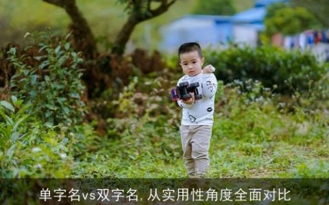 单字名vs双字名,从实用性角度全面对比