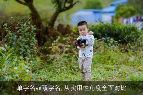 单字名vs双字名,从实用性角度全面对比