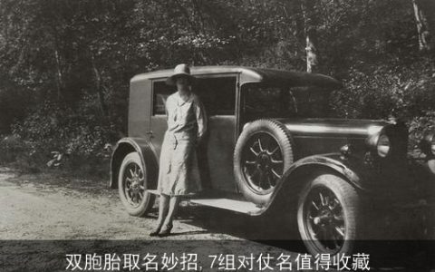 双胞胎取名妙招,7组对仗名值得收藏