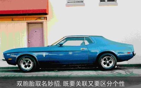 双胞胎取名妙招,既要关联又要区分个性