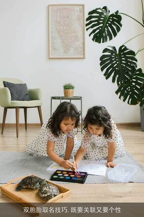 双胞胎取名技巧,既要关联又要个性