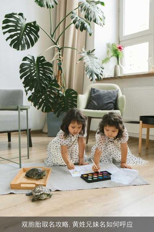 双胞胎取名攻略,黄姓兄妹名如何呼应